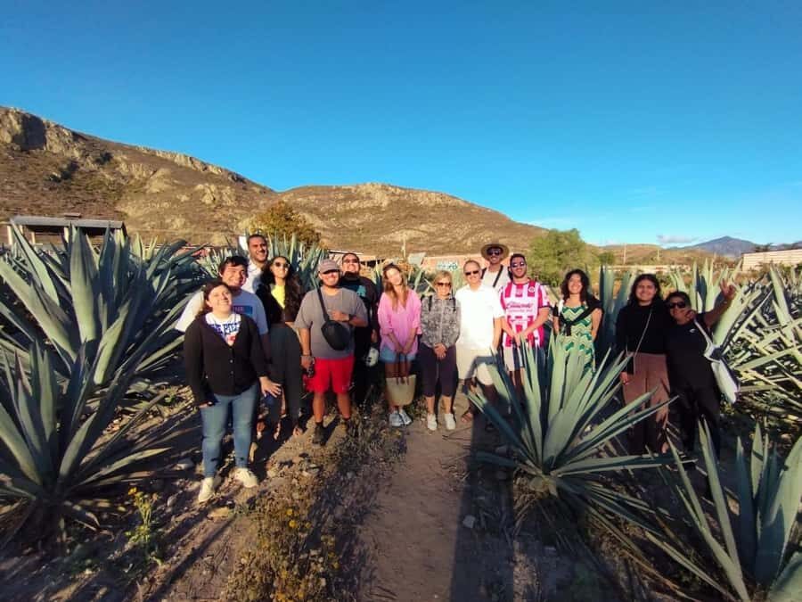 Hierve el Agua, Mitla, El Tule Tree, Rugs, Mezcal Distillery Tour - Mitla archaeological zone: why one hour is enough to feel the place