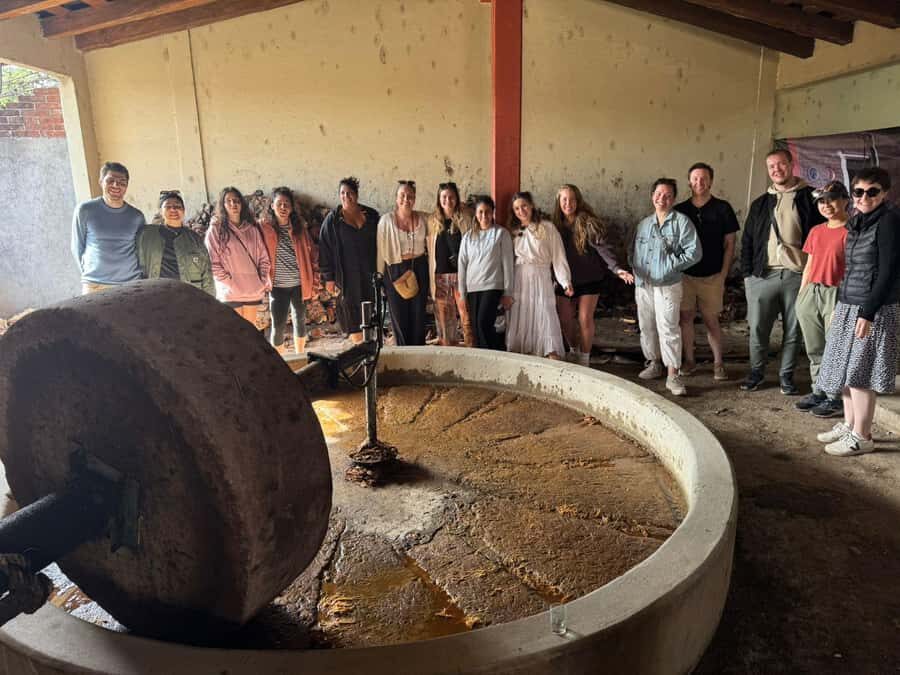 Hierve el Agua, Mitla, El Tule Tree, Rugs, Mezcal Distillery Tour - Price and ticket math: is $58 really a good deal?