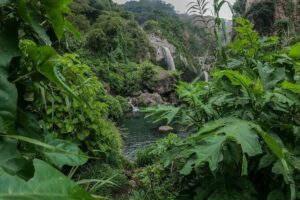 Hike and Swim in fresh springs and waterfalls in Guadalajara - The Steep 4-Mile Trail: What You’ll Actually Hike