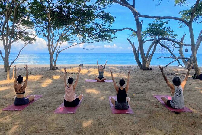 Hike and Yoga Jungle Experience in Mexico - Key Highlights at a Glance