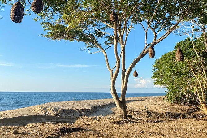 Hike and Yoga Jungle Experience in Mexico - The Return Walk and How to Plan Your Time After