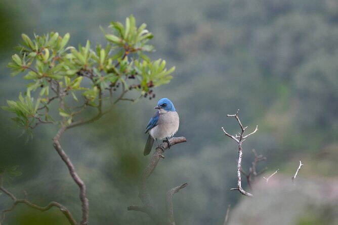 Hike in the Sierra de Santa Rosa - Key things I’d underline before you go