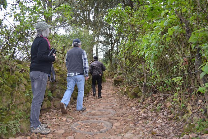 Hike in the Sierra de Santa Rosa - The payoff: reaching a valley vista point