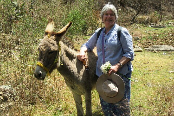 Hike in the Sierra de Santa Rosa - What you get for the price: guide time plus observation tools and insurance