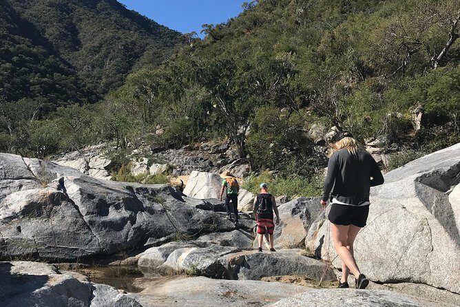 Hike the native Pericu road in Sierra de la Laguna. - Key Highlights You’ll Actually Feel
