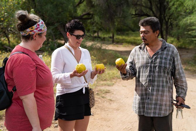 Hike the native Pericu road in Sierra de la Laguna. - Rancho Culture Lunch: More Than a Meal Stop