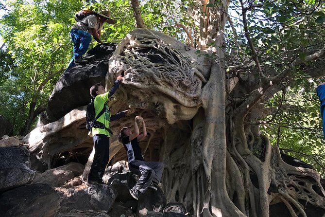 Hike the native Pericu road in Sierra de la Laguna. - Value Check: Does $160 Make Sense for This Day?