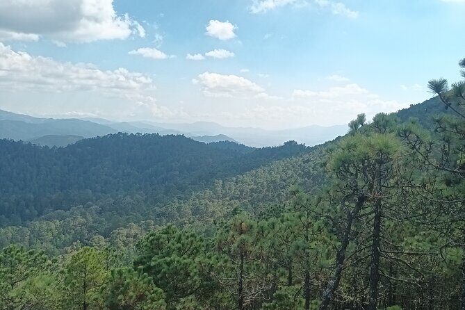 Hiking in Sierra Norte the most spectacular trails in Oaxaca - Rest break at Restaurante Colibrí: coffee, atole, and your next bite