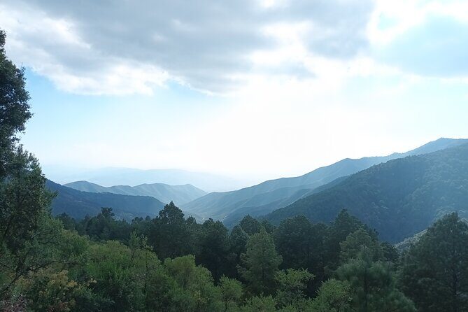 Hiking in Sierra Norte the most spectacular trails in Oaxaca - Private transport in an air-conditioned van: timing and group size