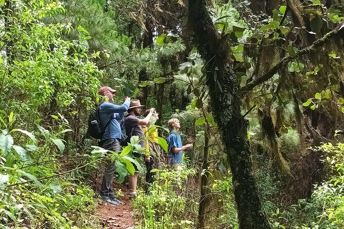 Hiking in Sierra Norte the most spectacular trails in Oaxaca - Should you book this Sierra Norte hike from Oaxaca City?
