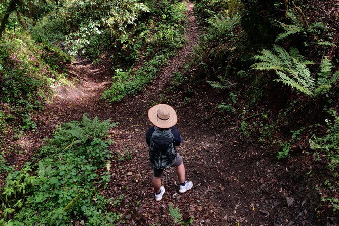 Hiking in the Sierra Norte of Oaxaca - Key points before you go