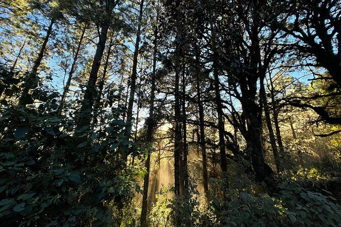 Hiking in the Sierra Norte of Oaxaca - Getting out of Oaxaca City and into the Sierra Norte