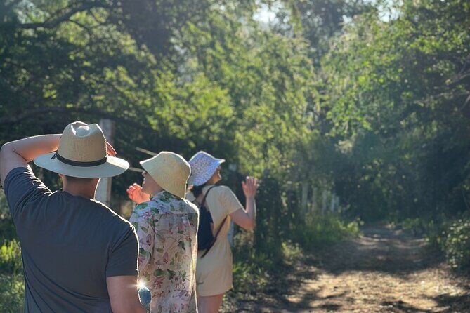 Hiking to Secret Hot Springs in the Mountain - Who Should Book This Hot Springs Hike
