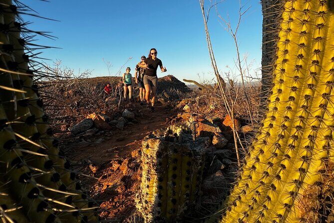Hiking Todos Santos at Sunset - Why Hike Todos Santos at Sunset From Cabo?