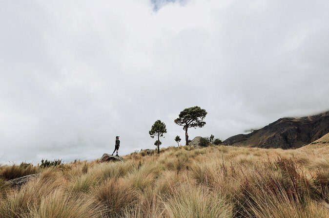 Hiking Tour on the Iztaccíhuatl Volcano from Puebla - Safety Up High: Helmet, Poles, Insurance, And Oxygen Checks