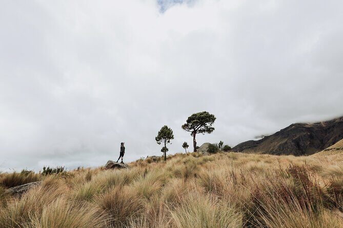 Hiking Tour on the Iztaccíhuatl Volcano from Puebla - The Guide Factor: Aaron, Ariel, And Susana Bring Context, Not Just Directions