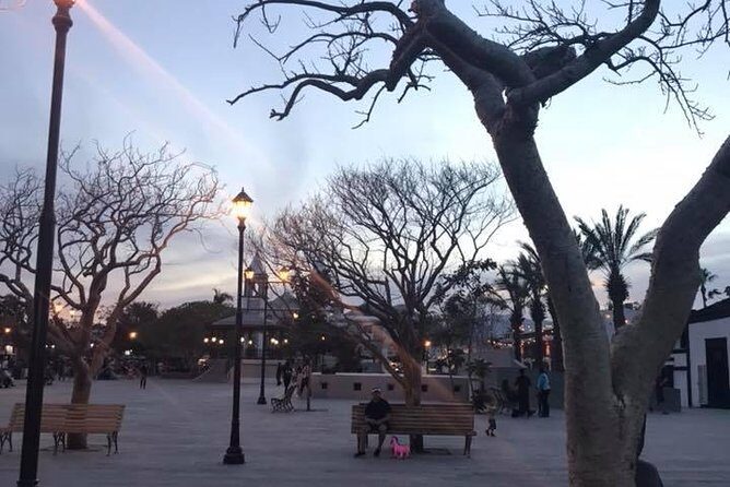 Historical and Cultural Walking Tour of San José del Cabo - Value: why this tour feels like a smart use of your evening