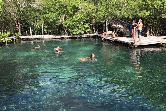 Holbox 3 Island Group Tour - The 2.5 to 3 hour plan: enough time for nature, not enough for boredom