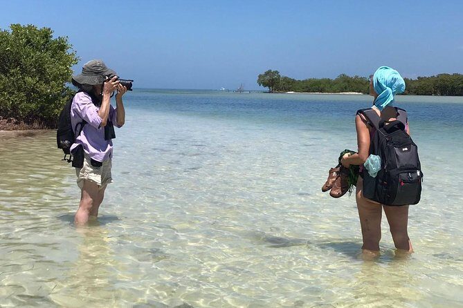 Holbox 3 Island Group Tour - Where you start and how to make the first 10 minutes smooth