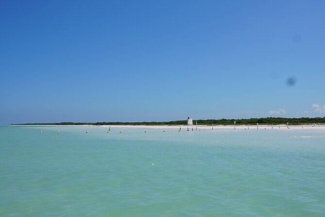 Holbox 3 Island Group Tour - Bird-focused stops are the point, so temper your expectations