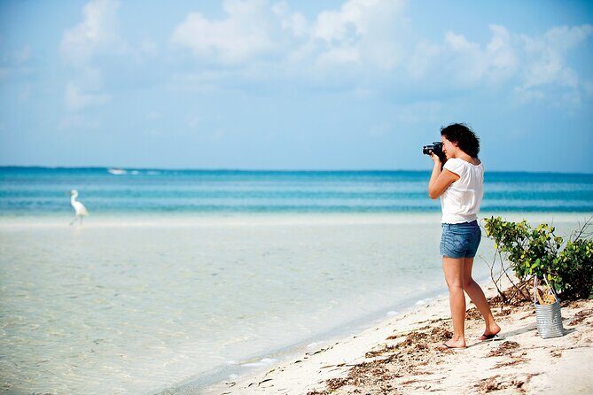 Holbox 3 Island Group Tour - Licensed staff, English guidance, and what small details can change