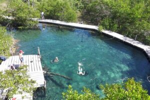 Holbox 3 Island Private Boat Tour - The Timing: 2.5 to 3.5 Hours Without the Rush
