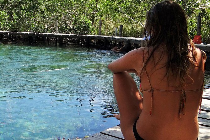 Holbox 3 Island Private Boat Tour - Stop 1 at Punta Mosquito (or Isla Pajaros): The Bird Island Warm-Up