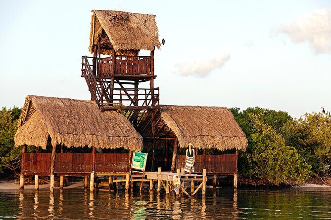 Holbox 3 Island Private Boat Tour - Stop 3 at Isla de la Pasión: Flamingos and Feeding Birds