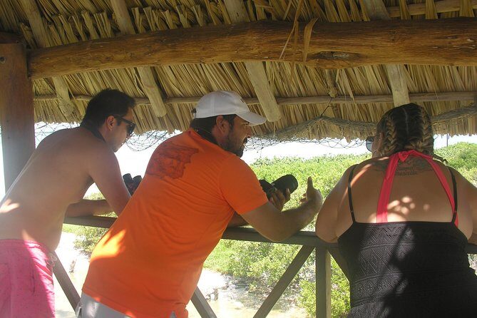 Holbox 3 Island Private Boat Tour - How the Naturalist Guide Changes What You See