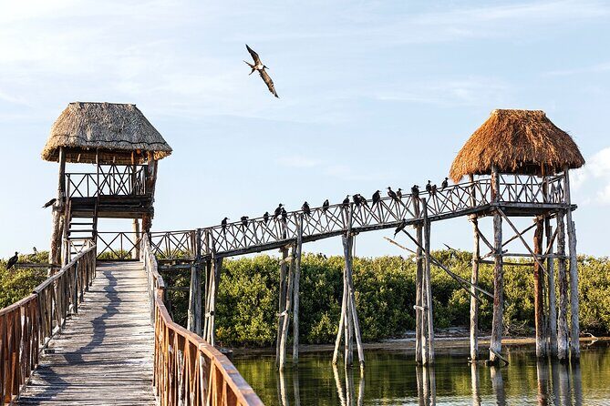 Holbox 3 Island Private Boat Tour - Getting the Most Out of Your Camera (Without Making It a Job)