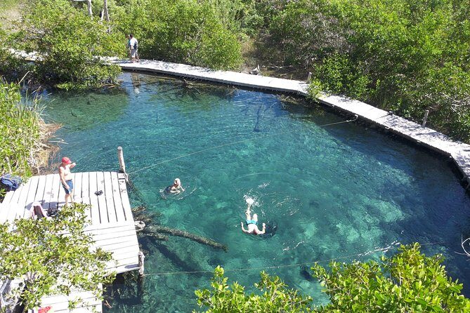 Holbox 3 Island Private Boat Tour - The Timing: 2.5 to 3.5 Hours Without the Rush