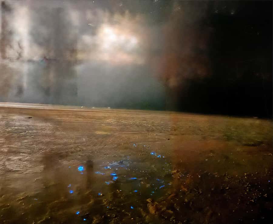 Holbox: Bioluminescence by Kayak and Stargazing. - What to Bring (So You’re Comfortable During the Glow)