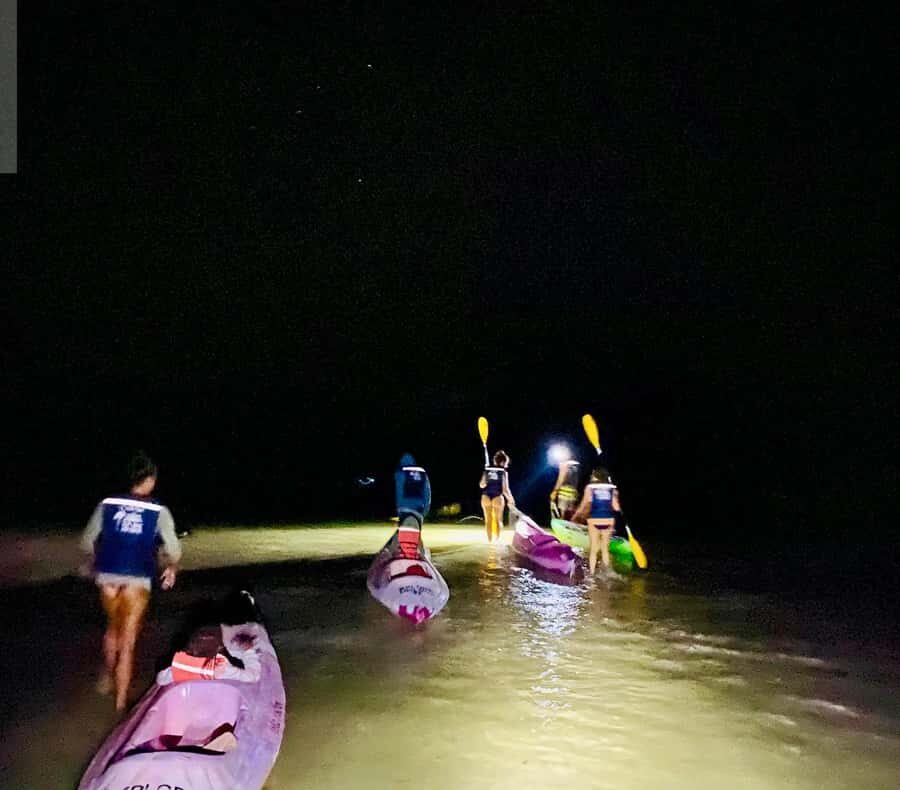 Holbox: Bioluminescence by Kayak and Stargazing. - Kayaks Out to the Punta Mosquito Sandbanks (Protected-Area Rules Included)