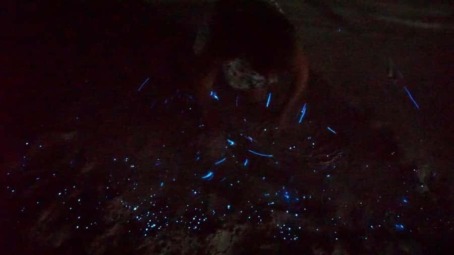 Holbox: Bioluminescence Kayaking and Stargazing - Price and Value: $52 for a 2-Hour Night That Includes Transport