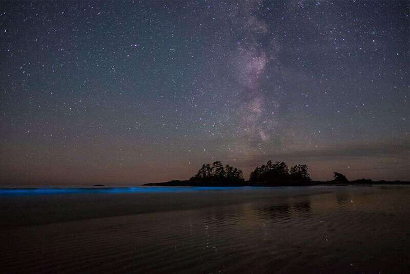 Holbox: Guided Bioluminescence Kayaking Tour - Key Things to Know Before You Go