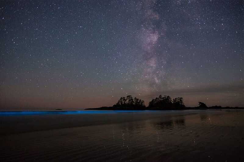 Holbox: Guided Bioluminescence Kayaking Tour - Where the Water Glows: The Plankton Moment on the Way to the Sandbank