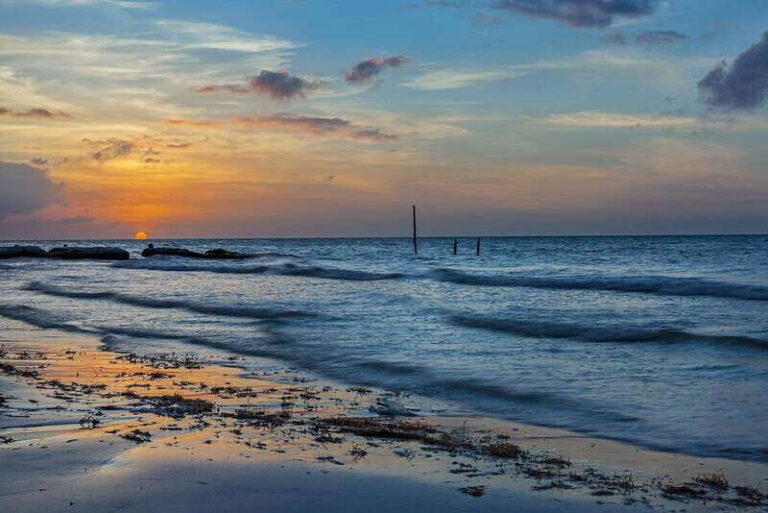 Holbox: Guided Bioluminescence Kayaking Tour - Getting There and What Happens Right After Pickup