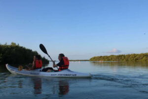 Holbox: Guided Sunrise/Sunset Kayak Tour by Mangrove Reserve - Getting there: golf cart pickup and a smooth start