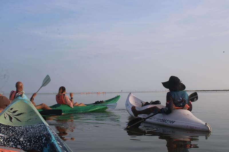 Holbox: Guided Sunrise/Sunset Kayak Tour by Mangrove Reserve - Gear, safety talk, and kayaking at an easy level