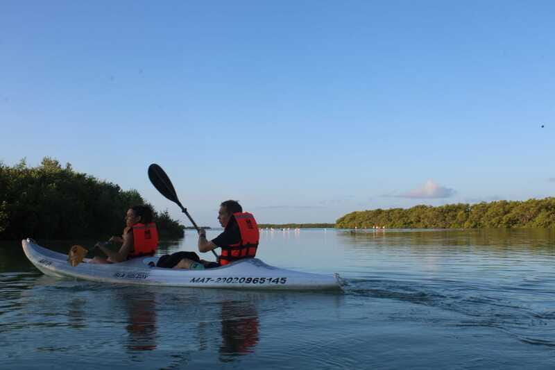 Holbox: Guided Sunrise/Sunset Kayak Tour by Mangrove Reserve - Wildlife viewing without disturbing the reserve