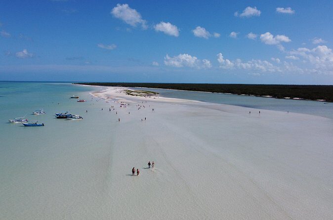 Holbox island: Boat tour & golf cart ride, Lunch and open bar - Price and payments: where the real value comes from