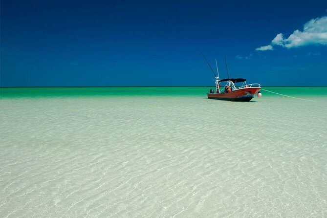 Holbox Island Full Day Trip with Lunch From Playa del Carmen - Lunch With Ocean Views: Included Food You Should Plan Around