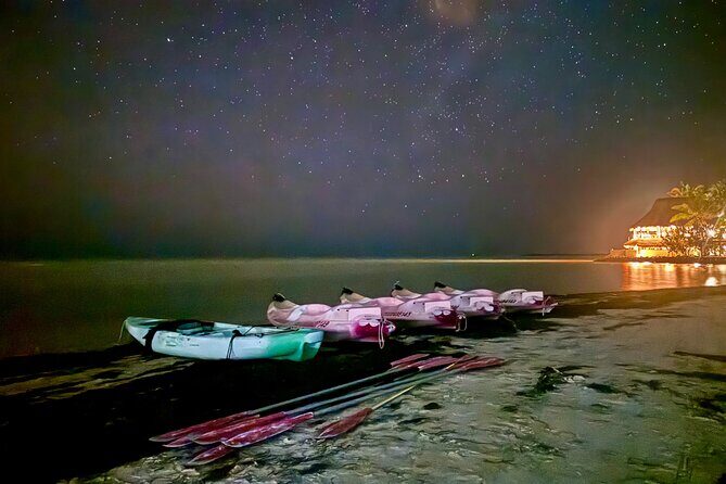 Holbox Kayak Bioluminescence Experience - Key highlights you’ll actually care about