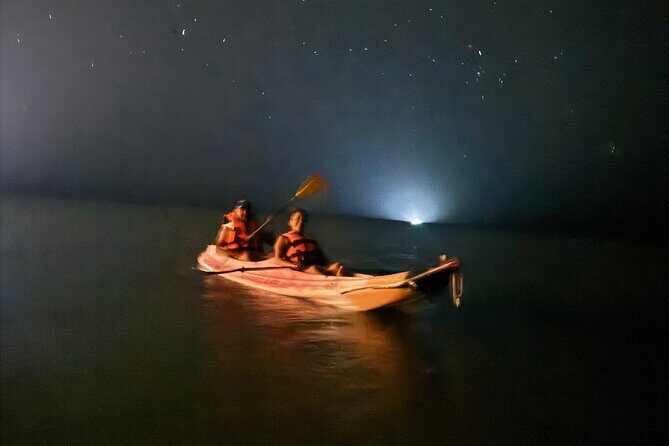 Holbox Kayak Bioluminescence Experience - Entering the glow: what this Holbox night trip feels like