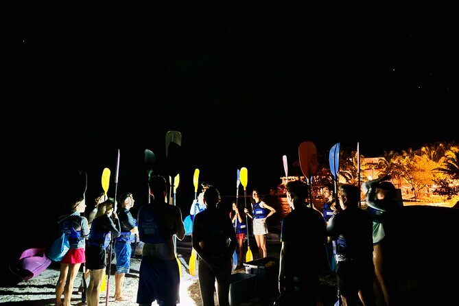 Holbox Kayak Bioluminescence Experience - The deeper water swim: neon flashes with each movement
