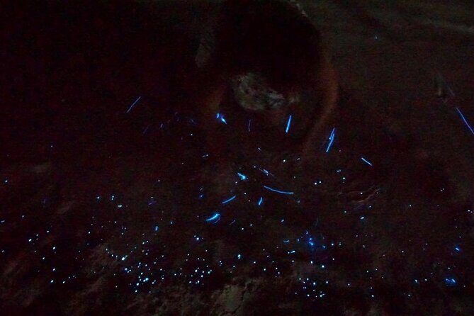 Holbox Kayak Bioluminescence Experience - Paddling to Punta Mosquito: the 2 km plankton chase
