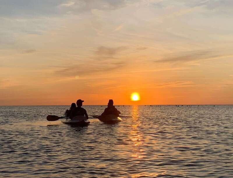 Holbox: Mangrove Sunset Kayak Tour - Key things to know before you go