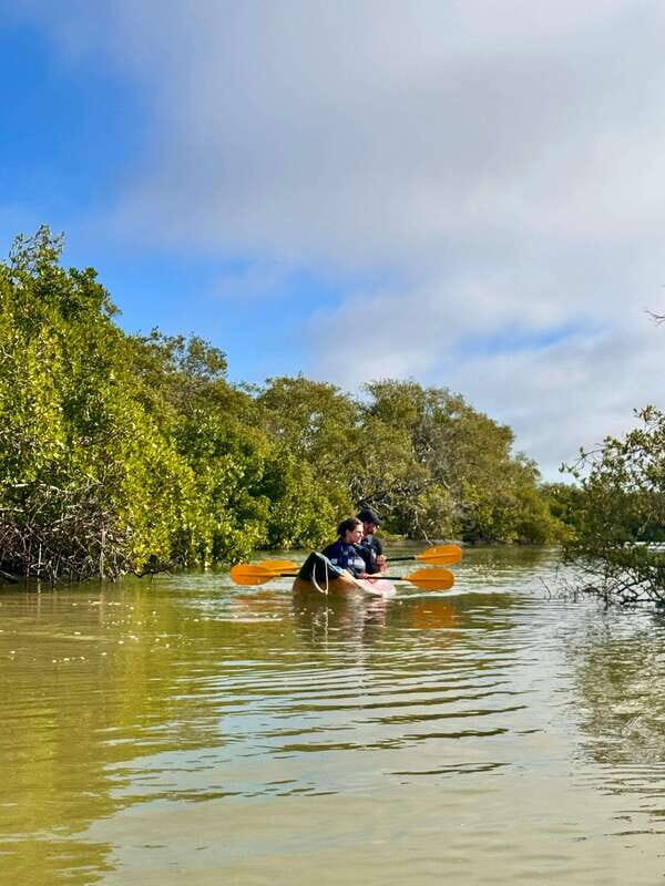 Holbox: Mangrove Sunset Kayak Tour - What to bring (and what not to): make your day smoother