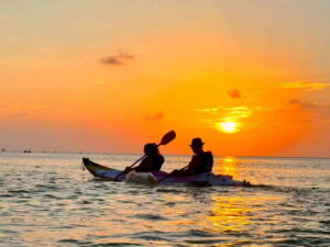 Holbox: Mangrove Sunset Kayak Tour - Flamingo kayaks and the first paddle: fun gear, real safety