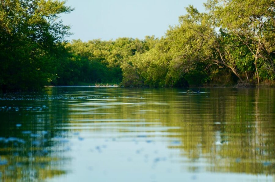 Holbox: Mangrove Sunset Kayak Tour - The snack stop and the guide talk: learning without killing the mood